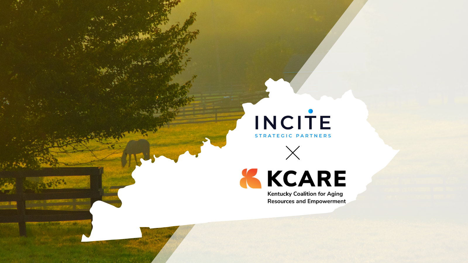 Kentucky Partner (NEW)