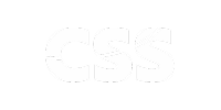 logo-css